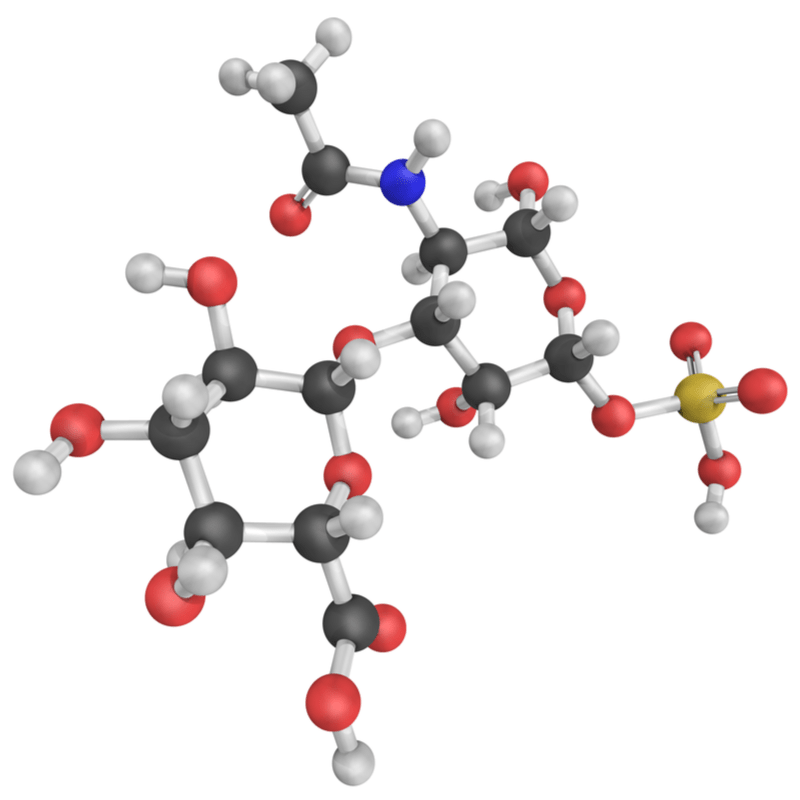 Chondroitin Molecule